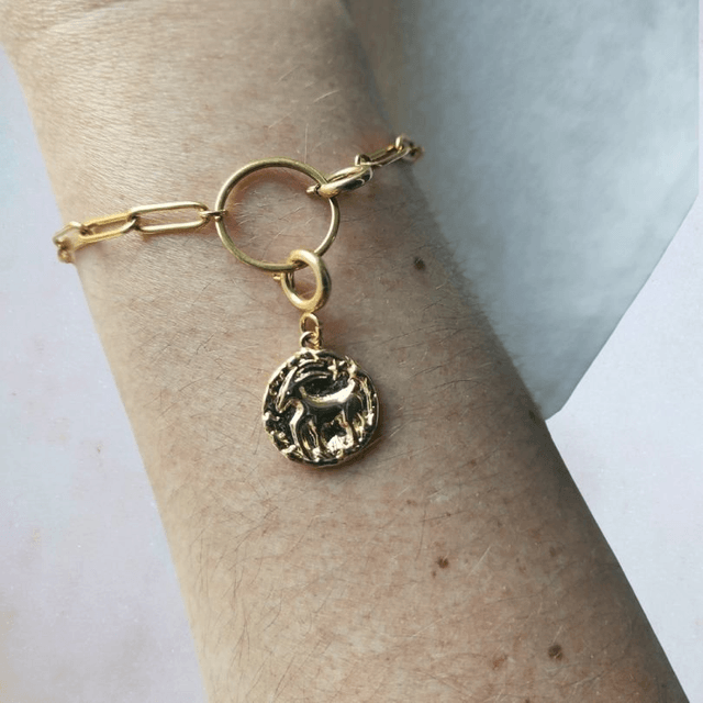 Coffret Astro - Capricorne ♑
